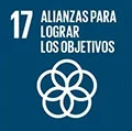 Objetivo de sustentabilidad 17